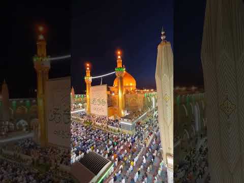 امير الحب علي