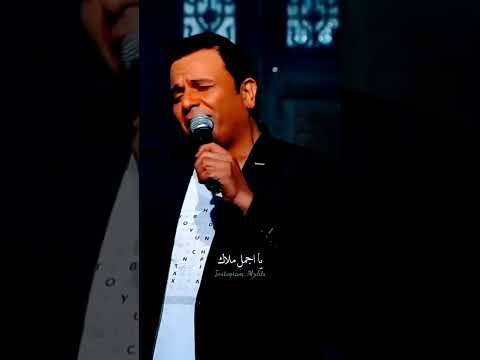 محمد فؤاد حبيبي يا