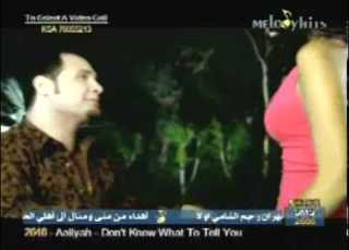 ورده حمرا وليد حسنى