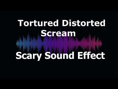 Tortured Distorted Scream Scary Sound Effect