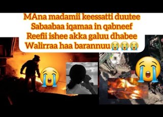 Iqaama Dhabde Duute Akka Biyya Galchaan Dhaban Warri Dafaa Hojjechifadhaa Subscribe