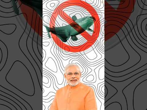 Why Ban Magur Fish Viral Trending Shorts