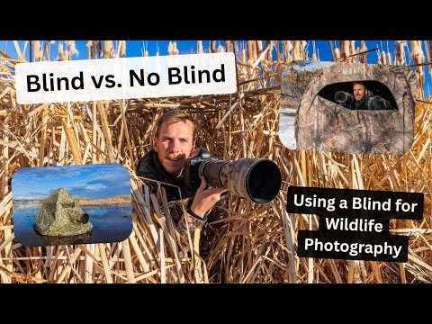 Improve Your Wildlife Photography By Using A Photo Blind How When To Use A Blind For Best Results