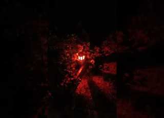  إنارة حديقة Shorts Electrical Lighting