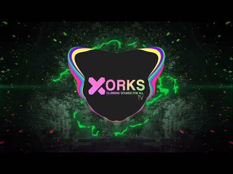 Stiekz X Nicolius Hashi Bango