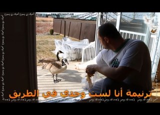  انا لست وحدي في الطريق