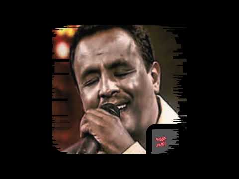 نادر خضر حبيب العمر