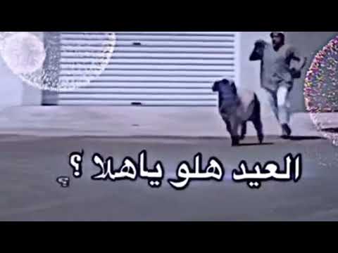 كل عام وانتم بخير العيد هلو ياهلا يا مرحبا يامسهلا وعايدو كل الملووك حالات عيد الفطر واتس اب