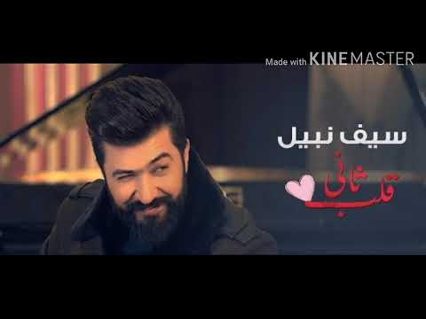 اغنيه لو قلب ثاني سيف نبيل كامله