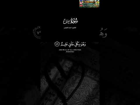 وضرب لنا مثلا ونسي خلقه قال من يحيي العظام وهي رميم قل يحييها الذي انشاها اول سورة يس أحمد النفيس