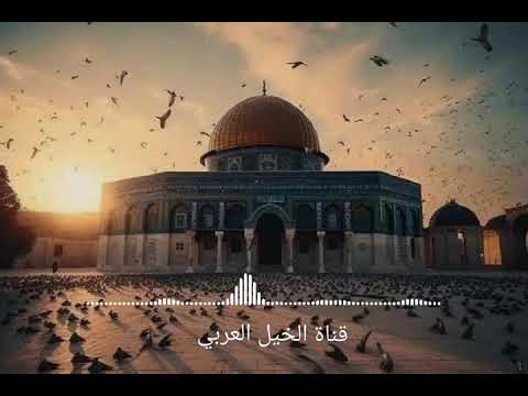 اغنية سوف احكي قصة ــ أنس البرقي ــ بدون موسيقى