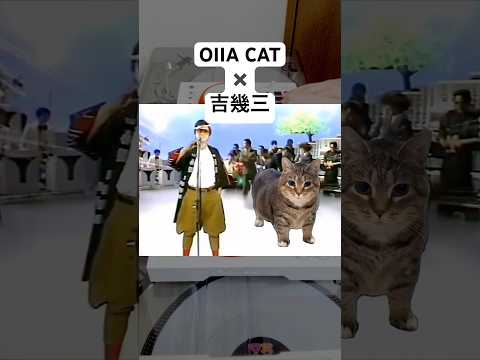 俺らオイイアさ行ぐだ 吉幾三 OIIA CAT In Japanese Enka Style