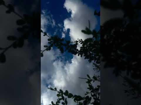 موسيقى هادئة تصويري موسيقى الطبيعة غيوم