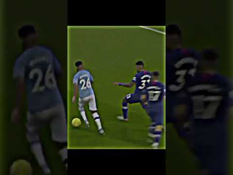 فخر الجزائر و العرب رياض محرز