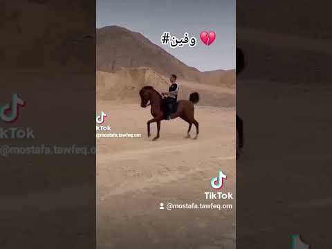 وفين قلبى اللي خدته معاك