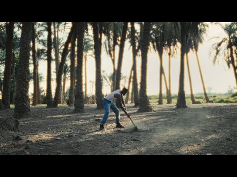 Lil Noby Maleesh Zay Ft Husayn Wingii ليل نوبي مليش زي مع حسين و وينجي