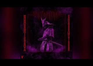 Schizophrenic 2 Slowed Reverb Bass Boosted