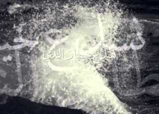  هالة أرسلان هالحلو