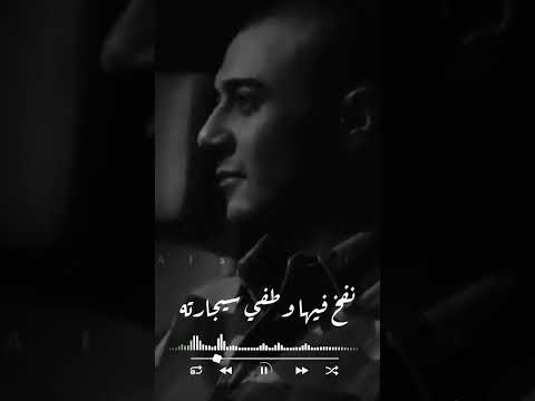 النداهه سما الحب ما تسعيناش ارض المصلحه تشيلنا الجوكر حاله واتس