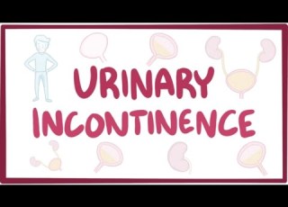  Urinary Incontinence Causes Symptoms Diagnosis Treatment Pathology