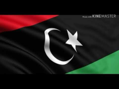 وليد التلاوي وعدي