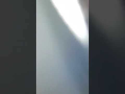 الشيخ كمال القالمي شوفو شوفو ياناس ميدو مدلل عند امو عرس ميدو خلة قالمة