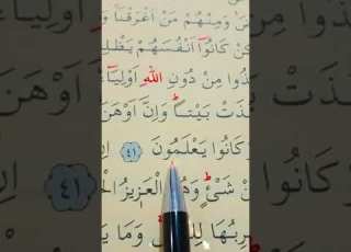  سورة العنكبوت الأية 41 إلى 43 بصوت سعد الغامدي