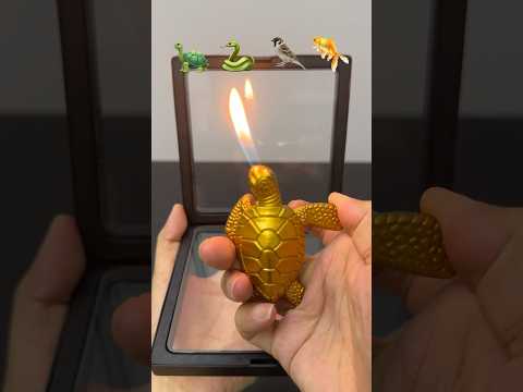 Which Lighter Will Fit It