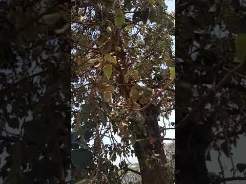 These Child S Returned After Conflict Of Guji And Gedeo Nationality