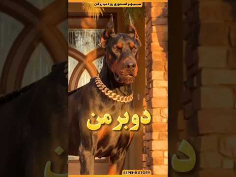 به این سگ ها اصلا نزدیک نشید فکت های جالب و دانستنی ها