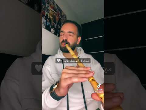 موسيقي لكل عاشق وطن