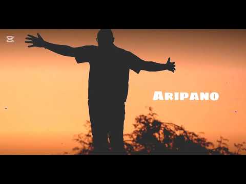 ARIPANO