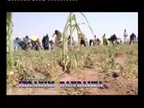 Dan Baiwa Kowa Yabi Sai Manzon Allah