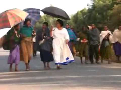 AMSAL MITIKE Abereregn Avi