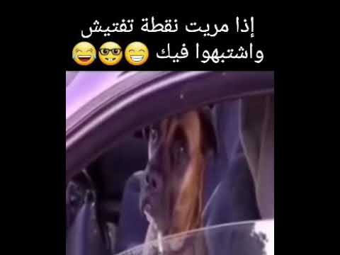 اذا مريت نقطة تفتيش واشتبهوا فيك