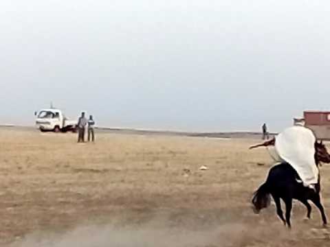 افراح و اعراس المهدية