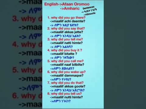 Englishlearning English Sentences To Afan Oromo English To Amharic Ethiopia Ethiopianews