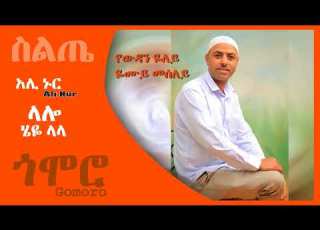 አሊ ኑር ላሎ ሄዬ ላላ የውዳን ዬለይ ዬሙይ መሰለይ Ali Nur Lalo Siltie Music Ethiopia