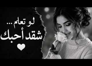 لو تعلم شكد أحبك أغنية سورية رومانسية كلها إحساس 2026