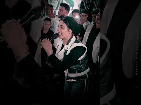 موال اتولدنا شقيانين مش من ع سرير من دهب النوتيلا ايه شعبان روقان السنين