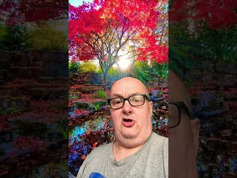 Advice On Video Shorts