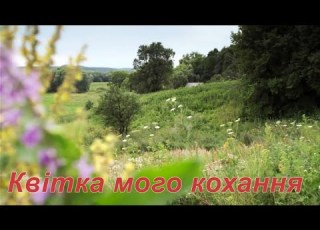 Квітка мого кохання Павло Доскоч