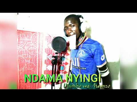 NDAMA NYINGI Ujumbe Wa Msenzo By N Recods