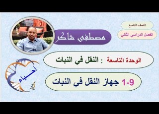 جهاز النقل في النبات أحياء صف تاسع منهج كامبردج الفصل الدراسي الثاني