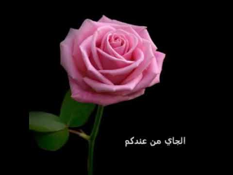 اشم النسيم الجاي من عند كم