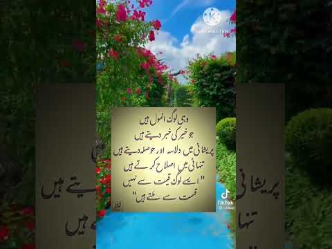 انتہائی خوبصورت اقوال زریں بہترین اقوال زرین