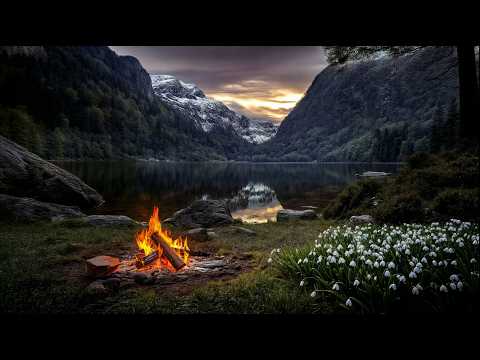 Quiet Evening By The Mountain Lake Campfire Deep Nature Silence And Calm Water Sounds