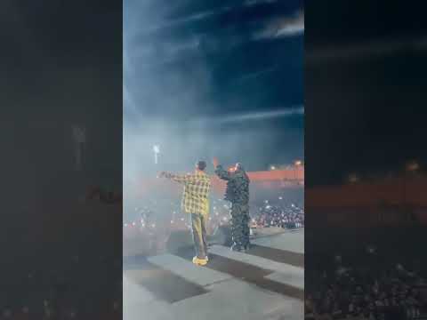 الأسد فك طلع كيمو الديب