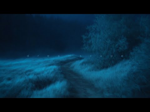 Diedlonely Blut Own Snowfield