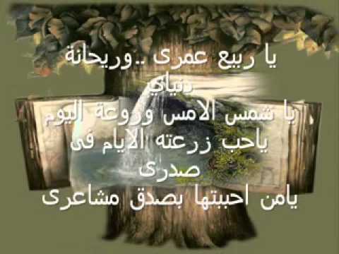 الى اجمل ما رأت عينى Mp4